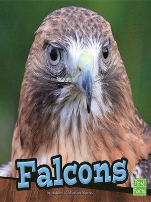 cover image of Falcons